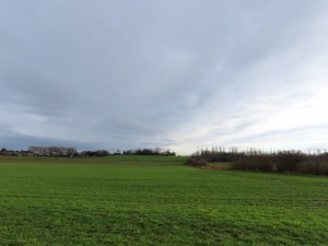 IMG_8088