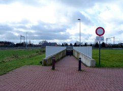 DSC03175