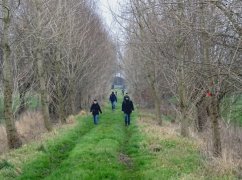 DSC02685