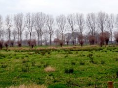 DSC02715