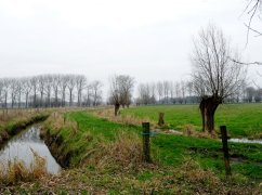 DSC02736