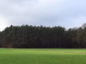 IMG_0860