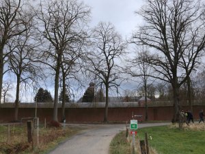 IMG_0879