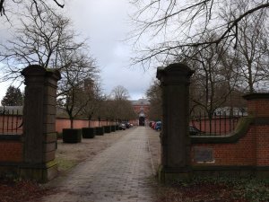 IMG_0881