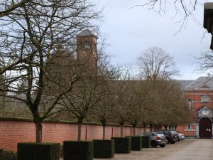 IMG_0883