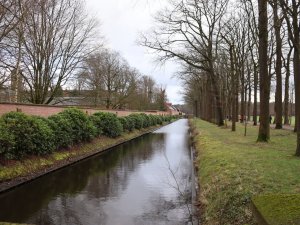 IMG_0888