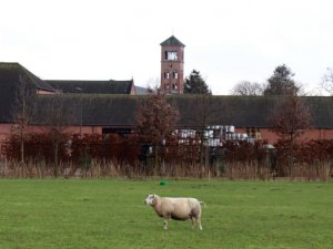 IMG_0910