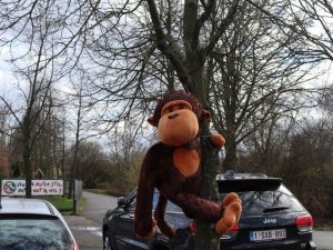 IMG_0962